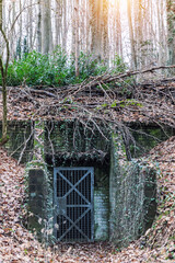 Second world war old abandoned concrete military bunker shelter hidden in forest woods fallen...
