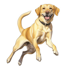 Yellow Labrador retriever dog jumping, isolated on transparent background