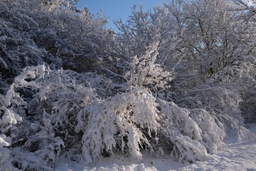 Beautiful winter scenery of forest around Straszynskie Lake in Kashubia, Poland