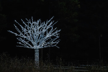artificial led light illuminated tree at night
