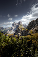 view of the Seceda area in the Italian Dolomites