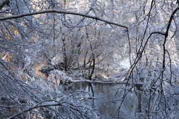 Beautiful winter scenery of forest around Straszynskie Lake in Kashubia, Poland