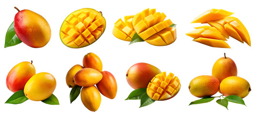 Mango Mangoes fruit, many angles and view side top front sliced halved group cut isolated on transparent background cutout, PNG file. Mockup template for artwork graphic design