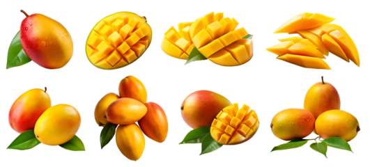 Mango Mangoes fruit, many angles and view side top front sliced halved group cut isolated on transparent background cutout, PNG file. Mockup template for artwork graphic design