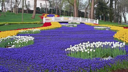  Sariyer district, Istanbul. Beautiful garden featuring vibrant tulip beds in various colors with a white bridge and lush green surroundings.