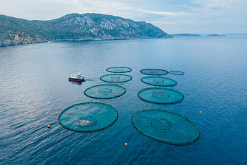 Aerial shot of Aquaculture sea fish farming cages, offshore marine seafood industry