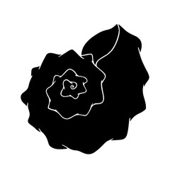 Silhouette, stencil of a sea shell. Decorative marine element. Vector graphics.