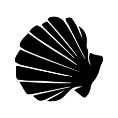 Silhouette, stencil of a sea shell. Decorative marine element. Vector graphics.