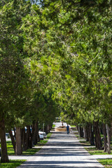 View of city park in Pyatigorsk