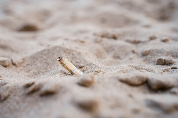 A used cigarette on the beach on the sand