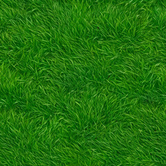 green grass texture