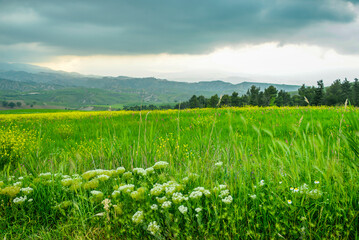 Lucania summer countryside landscape, Basilicata, Italy