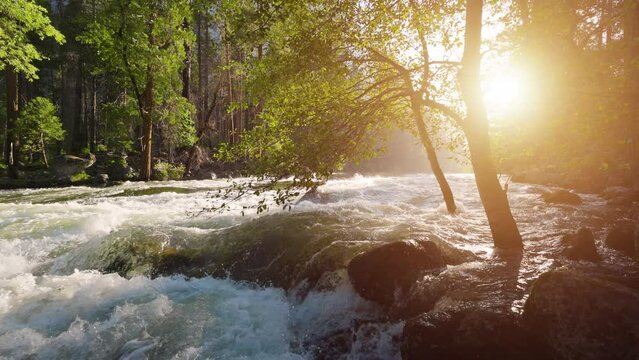 River Rapids in the Merced River as it runs through Yosemite National Park in California. Slow Motion.