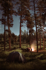 camping in the woods