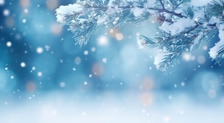 Fototapeta na wymiar Christmas tree with snow Background