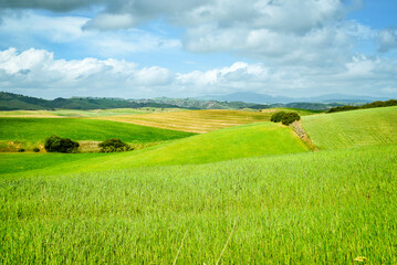 Lucania summer countryside landscape, Basilicata, Italy