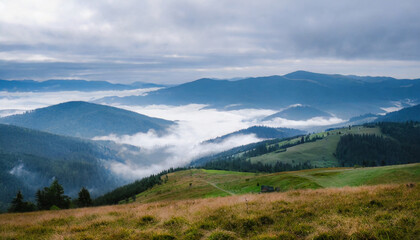 Fototapeta na wymiar impressivee nature landscape amazing countryside landscape with valley in fog behind the grassy hills picture of wild area awesome nature background carpathian mountains ukraine
