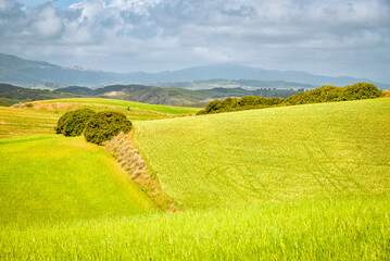 Lucania summer countryside landscape, Basilicata, Italy