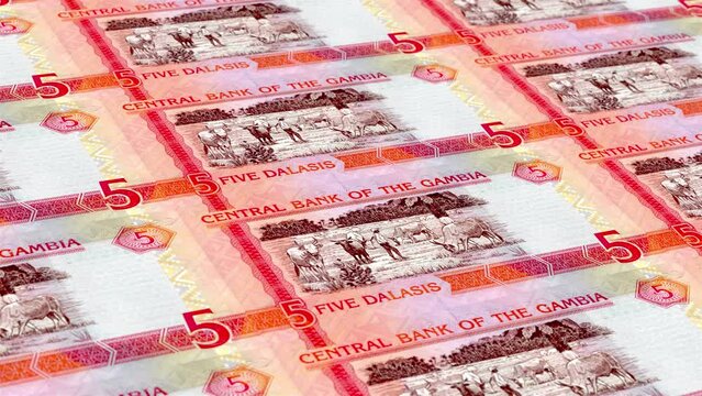 Gambia Gambian Dalasi 5 Banknotes Money Printing House, Printing Five Gambian Dalasi, Printing Press Machine Print out Gambian Dalasi, Being printed by currency press machine 5 Gambian