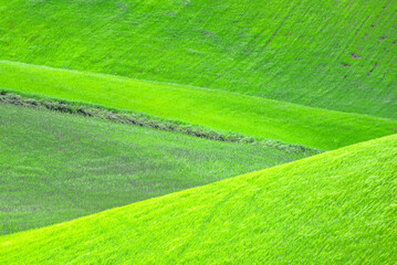 Obraz premium Lucania summer countryside landscape, Basilicata, Italy