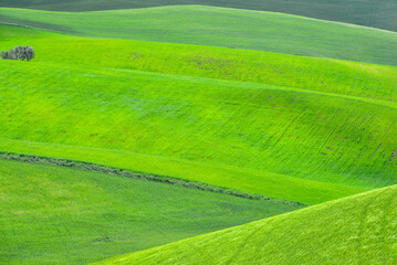 Lucania summer countryside landscape, Basilicata, Italy