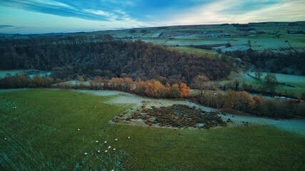 Fototapeta premium Aerial view of the forest in uk