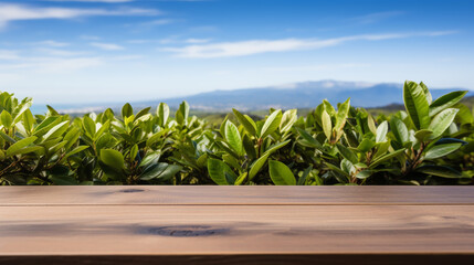 Obraz premium Wooden floor with blurred beautiful landscape of tea plantation background.