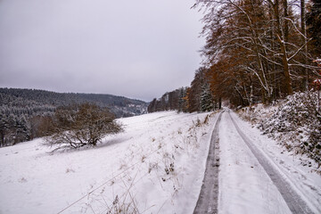 Erste Winterwanderung durch den verschneiten Thüringer Wald bei Tambach-Dietharz - Thüringen -...