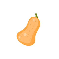 Pumpkin isolated on white background, squash, gourd, vector illustration, flat style