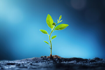 vibrant young tree sprout against a blurred blue background symbolizes the concept of business startup, investment, and the potential for success, generative ai 
