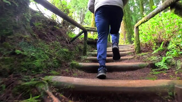 Azores, Portugal; 27th MArch 2023: Camera man running upstairs in wild steps between the green trees surrounded of moss close to the lake 'Lagoa do Can&aacute;rio'