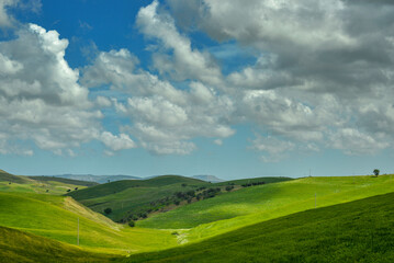 Lucania summer countryside landscape, Basilicata, Italy