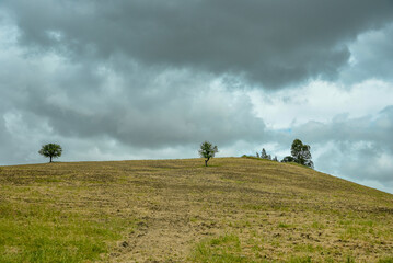 summer countryside landscape, Basilicata, Italy 