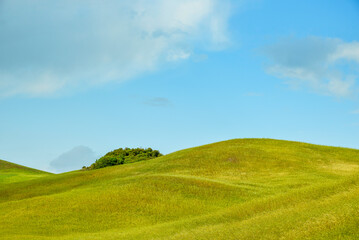 Fototapeta premium summer countryside landscape, Basilicata, Italy 