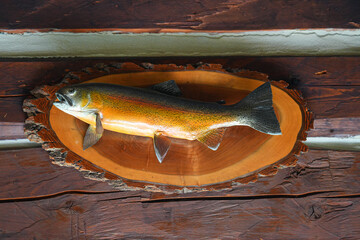 Salmon on the wall of the log house of the Historic Taku Glacier Lodge, a wooden cabin located in...