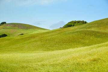 summer countryside landscape, Basilicata, Italy 