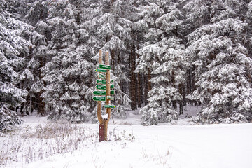 Erste Winterwanderung durch den verschneiten Thüringer Wald bei Tambach-Dietharz - Thüringen -...