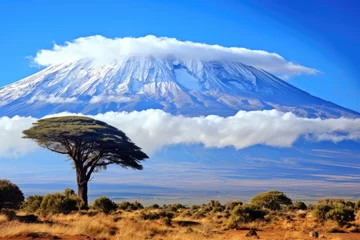 Foto auf Acrylglas Kilimandscharo Kilimanjaro mount background in National park. Safari landscape, Tanzania Africa. Generative ai