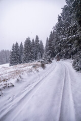 Erste Winterwanderung durch den verschneiten Th&uuml;ringer Wald bei Tambach-Dietharz - Th&uuml;ringen - Deutschland