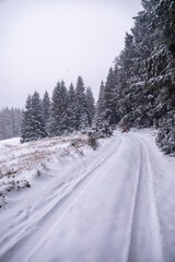 Fototapeta na wymiar Erste Winterwanderung durch den verschneiten Thüringer Wald bei Tambach-Dietharz - Thüringen - Deutschland