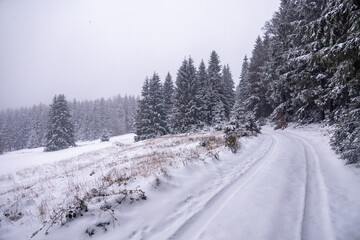 Erste Winterwanderung durch den verschneiten Thüringer Wald bei Tambach-Dietharz - Thüringen - Deutschland