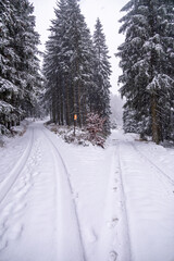 Obraz premium Erste Winterwanderung durch den verschneiten Thüringer Wald bei Tambach-Dietharz - Thüringen - Deutschland