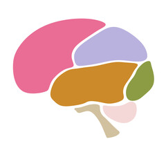 Icon of a nice design of the color parts of a human brain