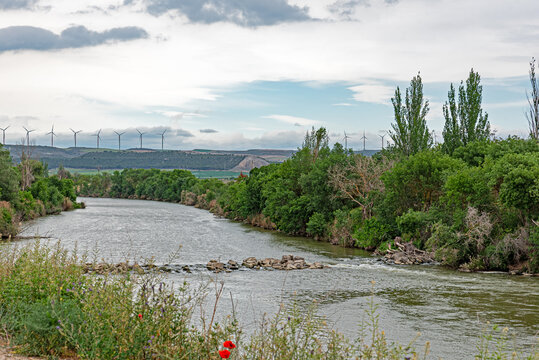River Arga as it passes through the town of Falces, Navarre, Spain