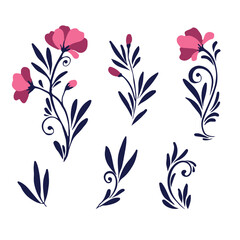 Set flower or ornamental plant. Botanical print of leaves, flowers and curls. A simple natural pattern. Vector illustration on a white background.