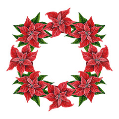 Christmas wreath with poinsettia flowers, hand drawn watercolor illustration isolated on white background. Floral illustration for Christmas decoration, postcards, invitations.