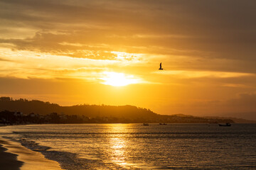 p&aacute;ssaro voando no p&ocirc;r-do-sol da praia da Cachoeira do Bom Jesus Canasvieiras Florianopolis Santa Catarina Brasil Florian&oacute;polis  