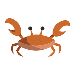 Isolated summer crab icon flat design Vector