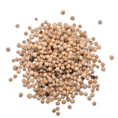 Whole white pepper - spice transparent background png