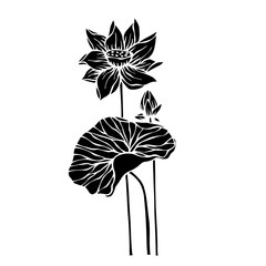 Silhouette of a flower, lotus bud. Decorative botanical element. Vector graphics.